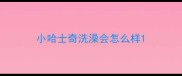 小哈士奇洗澡会怎么样