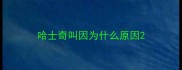 哈士奇叫因为什么原因