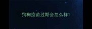 狗狗疫苗过期会怎么样