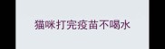 猫咪打完疫苗不喝水
