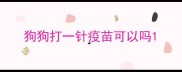狗狗打一针疫苗可以吗