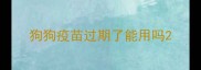 狗狗疫苗过期了能用吗