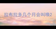 拉布拉多几个月会叫唤