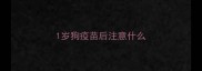1岁狗疫苗后注意什么