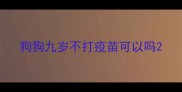 狗狗九岁不打疫苗可以吗