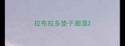 拉布拉多垫子潮湿