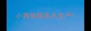 小狗每隔多久生产