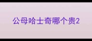 公母哈士奇哪个贵