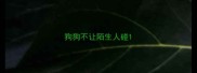 狗狗不让陌生人碰