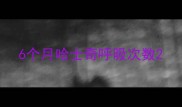 6个月哈士奇呼吸次数