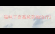 猫咪子宫蓄脓药物治疗
