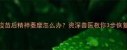 博美疫苗后精神萎靡怎么办资深兽医教你3步恢复活力