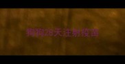 狗狗28天注射疫苗