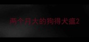 两个月大的狗得犬瘟
