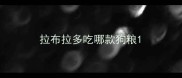 拉布拉多吃哪款狗粮