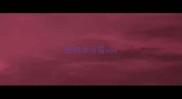 宠物沐浴露sos
