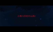 小狗15天吃什么药