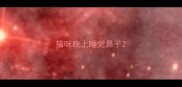 猫咪晚上睡觉鼻子