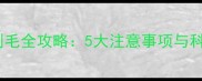 小拉布拉多剃毛全攻略5大注意事项与科学护理指南
