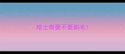 哈士奇要不要剃毛