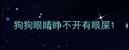 狗狗眼睛睁不开有眼屎