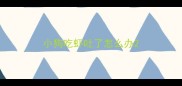 小狗吃虾吐了怎么办