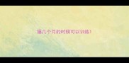猫几个月的时候可以训练