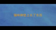猫咪脚垫上长了东西