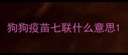 狗狗疫苗七联什么意思