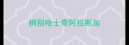 辨别哈士奇阿拉斯加