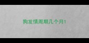 狗发情周期几个月