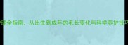 金毛幼犬毛发护理全指南从出生到成年的毛长变化与科学养护技巧附对比图
