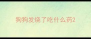 狗狗发烧了吃什么药