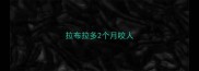 拉布拉多2个月咬人