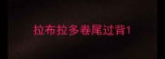 拉布拉多卷尾过背