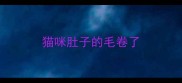 猫咪肚子的毛卷了