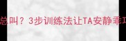 泰迪前腿敏感总叫3步训练法让TA安静乖巧不炸毛
