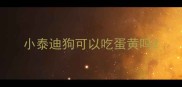小泰迪狗可以吃蛋黄吗