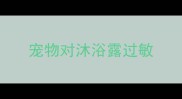 宠物对沐浴露过敏