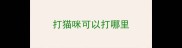 打猫咪可以打哪里