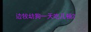 边牧幼狗一天吃几顿