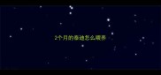 2个月的泰迪怎么喂养