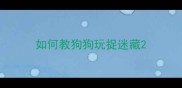 如何教狗狗玩捉迷藏