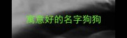 寓意好的名字狗狗