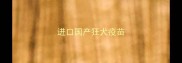 进口国产狂犬疫苗