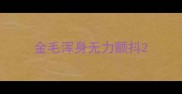 金毛浑身无力颤抖
