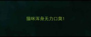 猫咪浑身无力口臭