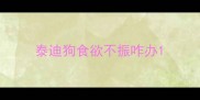 泰迪狗食欲不振咋办