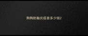 狗狗防脑炎疫苗多少钱