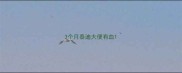 3个月泰迪大便有血